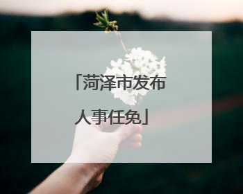 菏泽市发布人事任免