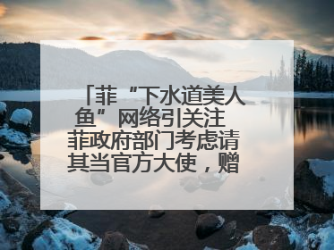 菲“下水道美人鱼”网络引关注 菲政府部门考虑请其当官方大使，赠现金开店