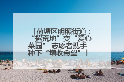 荷塘区明照街道：“撂荒地”变“爱心菜园” 志愿者携手种下“增收希望”