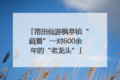 莆田仙游枫亭镇“藏着”一对600余年的“老龙头”