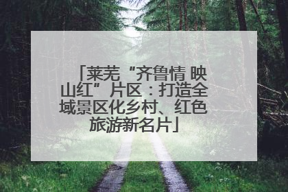 莱芜“齐鲁情 映山红”片区：打造全域景区化乡村、红色旅游新名片