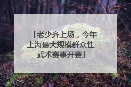 老少齐上场，今年上海最大规模群众性武术赛事开赛