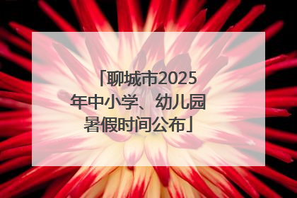 聊城市2025年中小学、幼儿园暑假时间公布