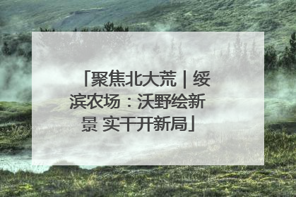 聚焦北大荒｜绥滨农场：沃野绘新景 实干开新局