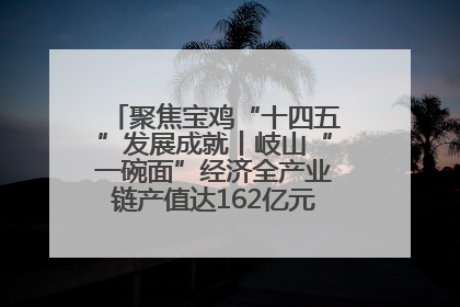聚焦宝鸡“十四五”发展成就丨岐山“一碗面”经济全产业链产值达162亿元 入选全国典型县