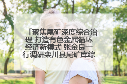 聚焦尾矿深度综合治理 打造有色金属循环经济新模式 张金良一行调研栾川县尾矿库综合治理工作