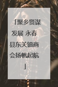 聚乡贤谋发展 永春县东关镇商会扬帆起航