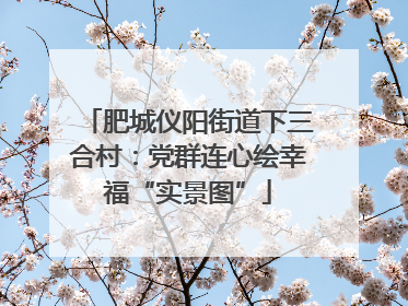 肥城仪阳街道下三合村：党群连心绘幸福“实景图”