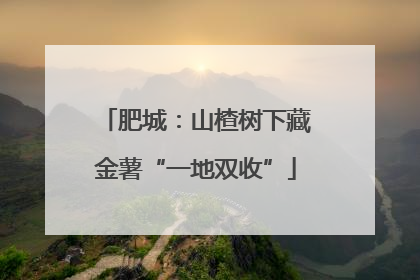肥城：山楂树下藏金薯“一地双收”