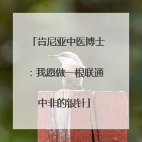 肯尼亚中医博士：我愿做一根联通中非的银针