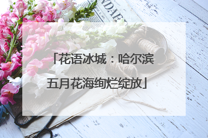 花语冰城：哈尔滨五月花海绚烂绽放