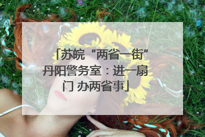 苏皖“两省一街”丹阳警务室：进一扇门 办两省事