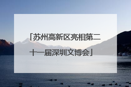 苏州高新区亮相第二十一届深圳文博会
