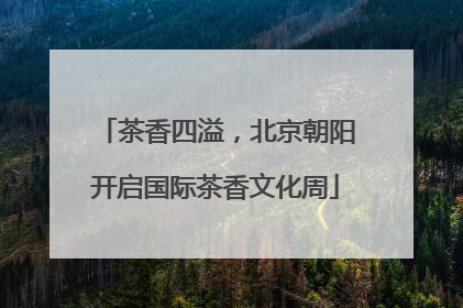 茶香四溢，北京朝阳开启国际茶香文化周