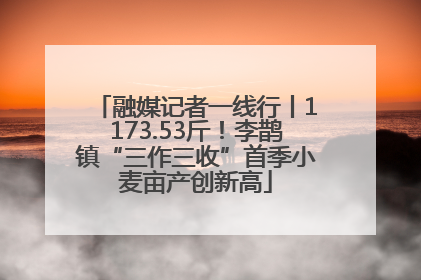融媒记者一线行丨1173.53斤！李鹊镇“三作三收”首季小麦亩产创新高