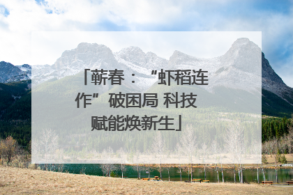 蕲春：“虾稻连作”破困局 科技赋能焕新生
