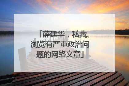 薛建华，私藏、浏览有严重政治问题的网络文章