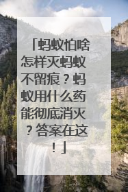 蚂蚁怕啥怎样灭蚂蚁不留痕？蚂蚁用什么药能彻底消灭？答案在这！