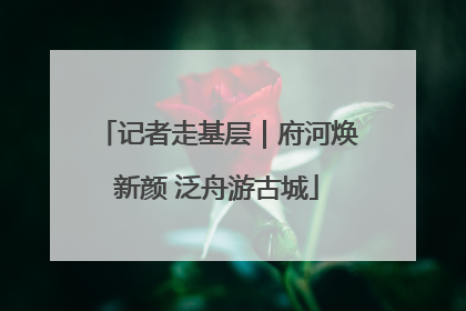 记者走基层｜府河焕新颜 泛舟游古城