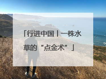 行进中国丨一株水草的“点金术”