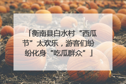 衡南县白水村“西瓜节”太欢乐，游客们纷纷化身“吃瓜群众”
