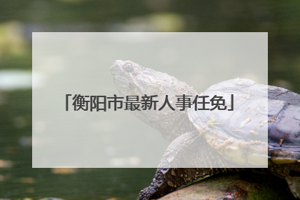 衡阳市最新人事任免