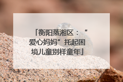 衡阳蒸湘区：“爱心妈妈”托起困境儿童别样童年