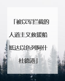 被以军拦截的人道主义救援船抵达以色列阿什杜德港