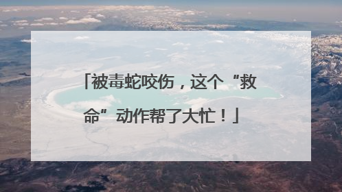 被毒蛇咬伤，这个“救命”动作帮了大忙！