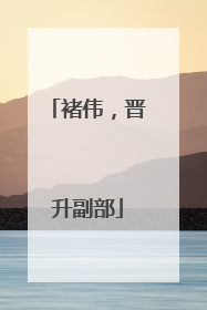 褚伟，晋升副部