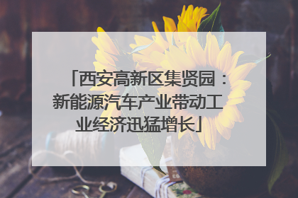 西安高新区集贤园：新能源汽车产业带动工业经济迅猛增长
