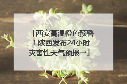 西安高温橙色预警！陕西发布24小时灾害性天气预报→