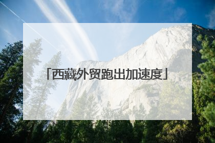 西藏外贸跑出加速度