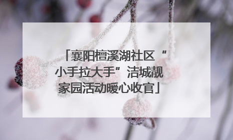 襄阳檀溪湖社区“小手拉大手”洁城靓家园活动暖心收官