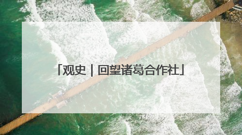 观史｜回望诸葛合作社
