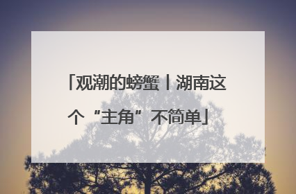观潮的螃蟹丨湖南这个“主角”不简单