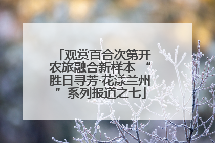 观赏百合次第开 农旅融合新样本 “胜日寻芳·花漾兰州”系列报道之七