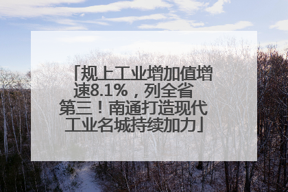 规上工业增加值增速8.1%，列全省第三！南通打造现代工业名城持续加力