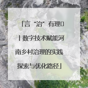 言“治”有理⑪丨数字技术赋能河南乡村治理的实践探索与优化路径
