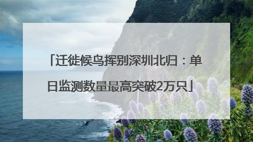 迁徙候鸟挥别深圳北归：单日监测数量最高突破2万只