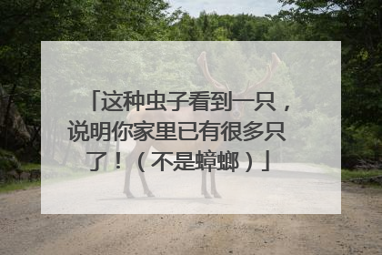 这种虫子看到一只，说明你家里已有很多只了！（不是蟑螂）