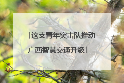 这支青年突击队推动广西智慧交通升级