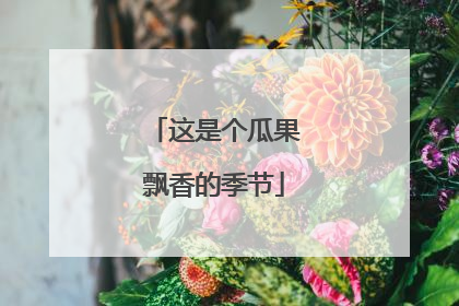 这是个瓜果飘香的季节