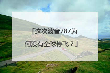 这次波音787为何没有全球停飞？