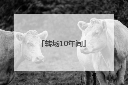 转场10年间