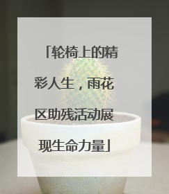轮椅上的精彩人生，雨花区助残活动展现生命力量