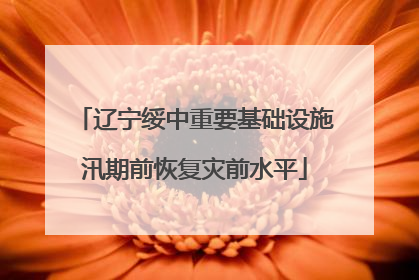 辽宁绥中重要基础设施汛期前恢复灾前水平