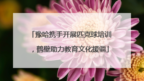 豫哈携手开展匹克球培训，鹤壁助力教育文化援疆