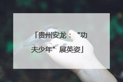 贵州安龙：“功夫少年”展英姿