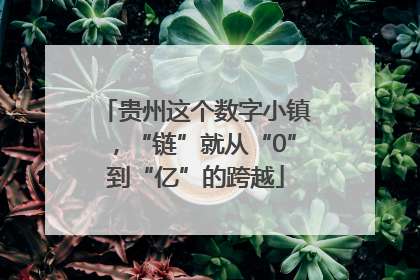贵州这个数字小镇，“链”就从“0”到“亿”的跨越